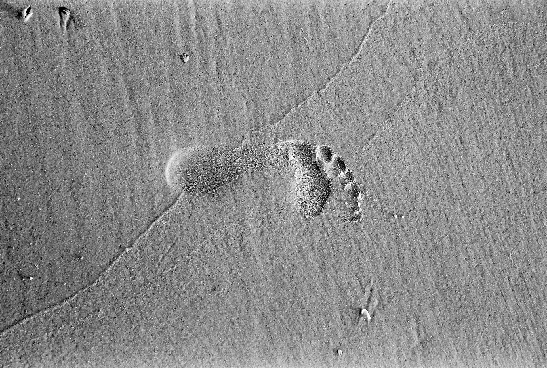 Fußabdruck im Sand von Juist